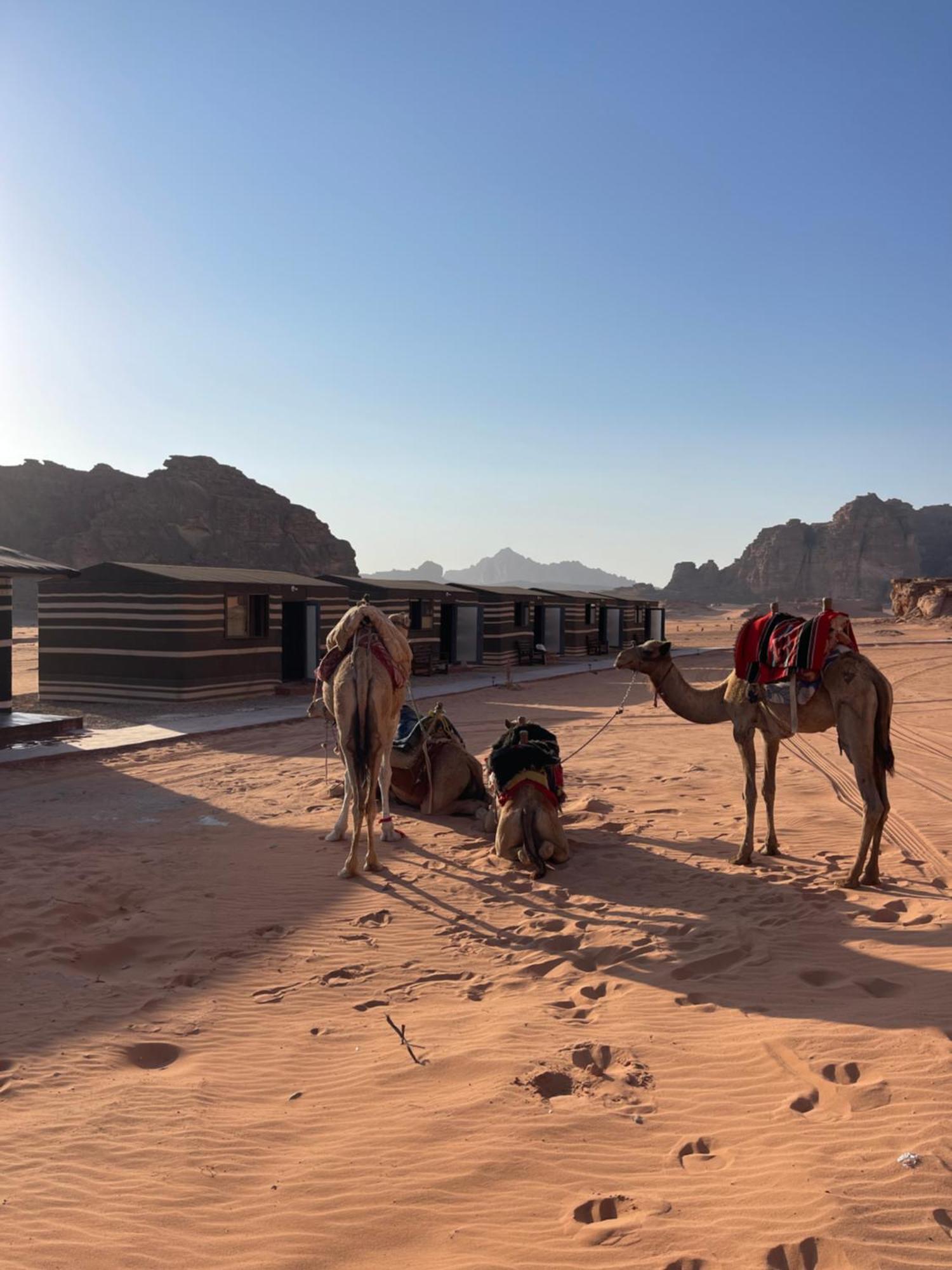 Wadi Rum Magic Camp Buitenkant foto